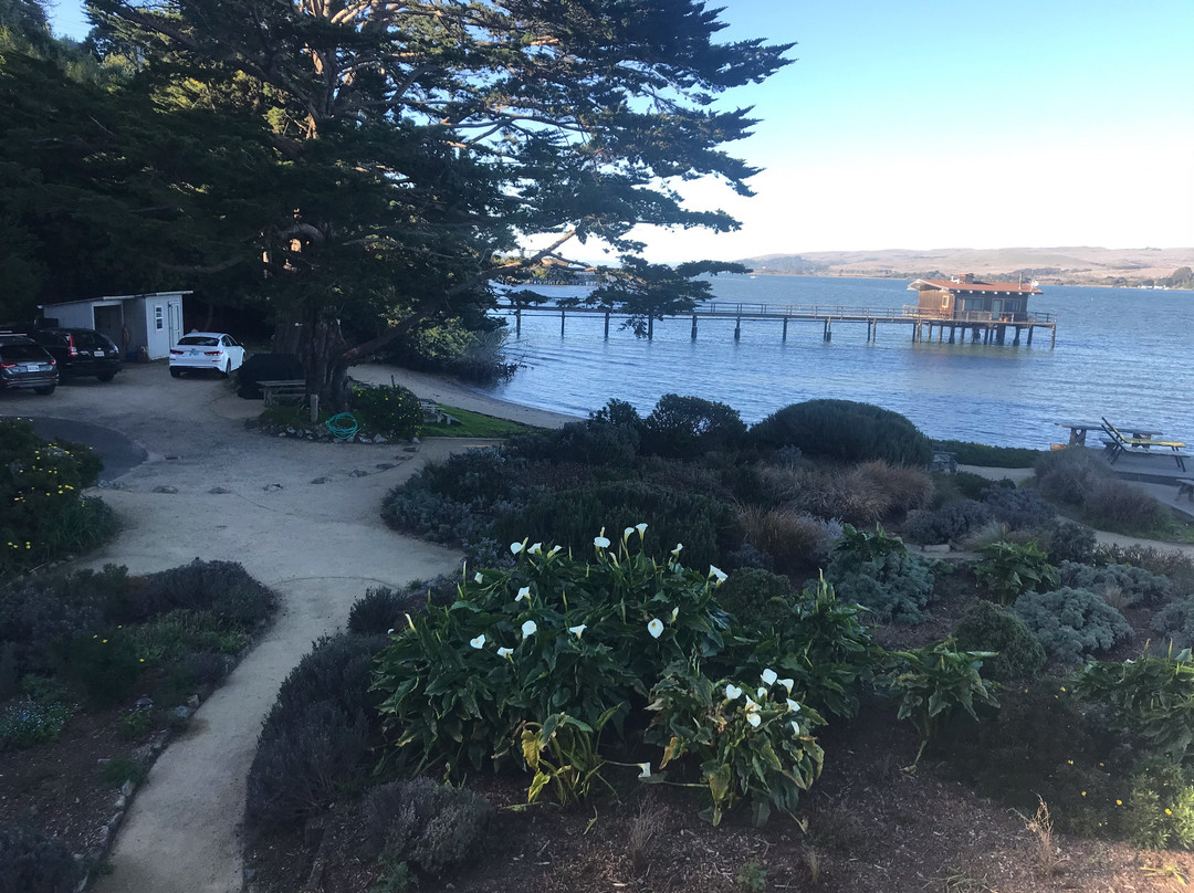 Dancing Coyote Beach主图