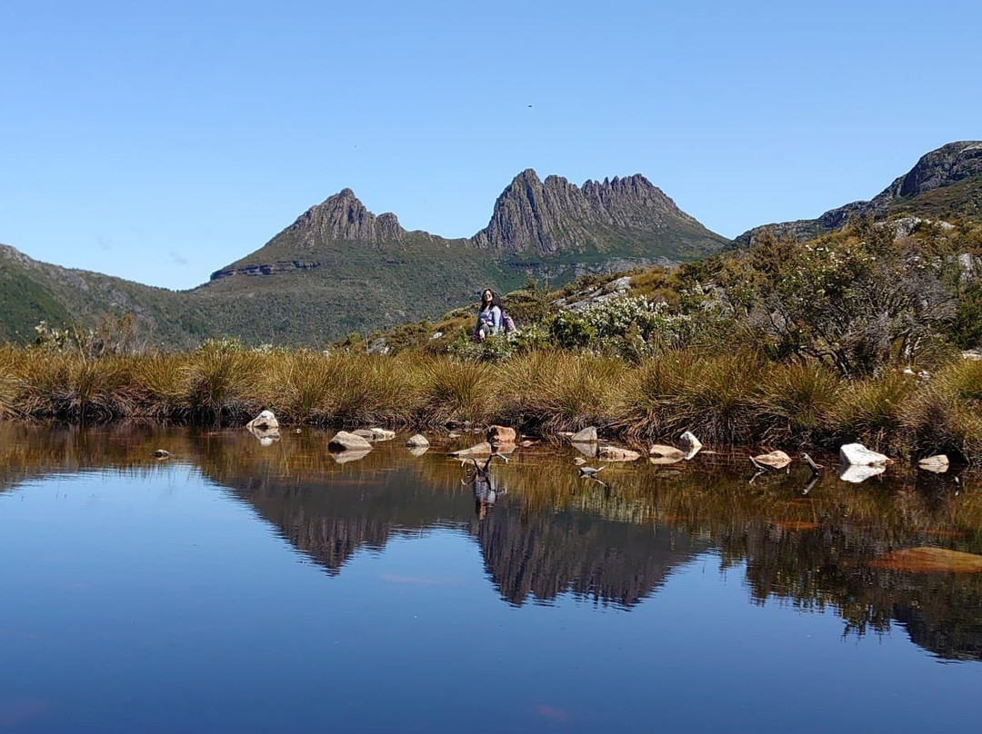 Let's Show You Tasmania - Day Tours景点图片