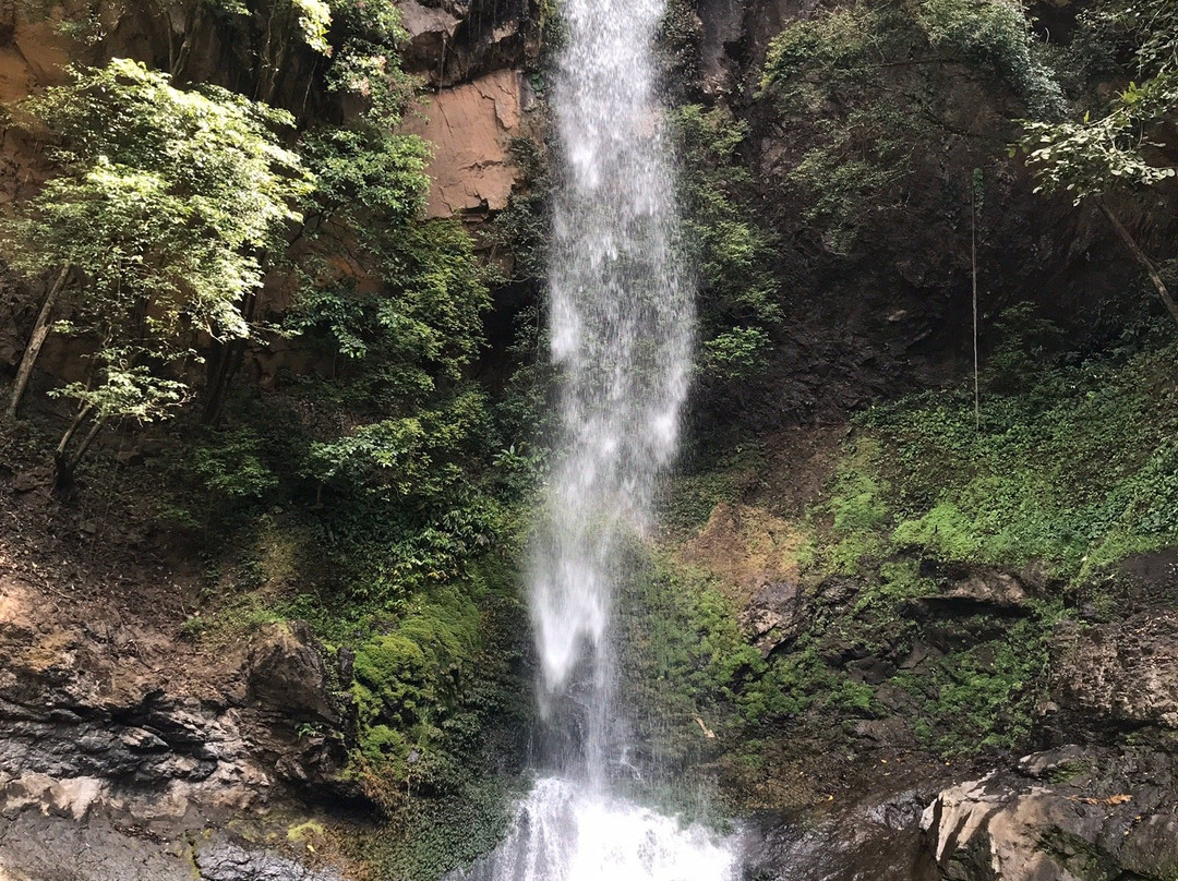 Tavida Waterfall景点图片