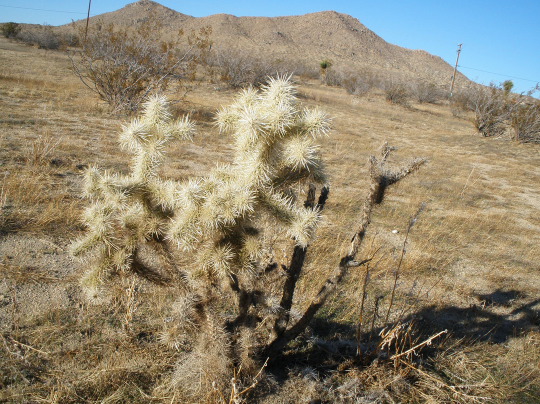 Saddleback Butte State Park-兰开斯特必去景点