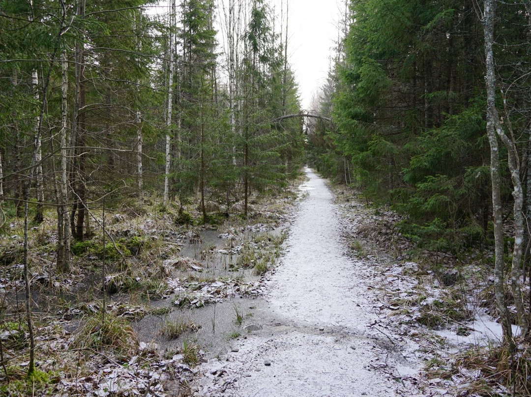 Soomaa National Park-维尔扬迪必去景点