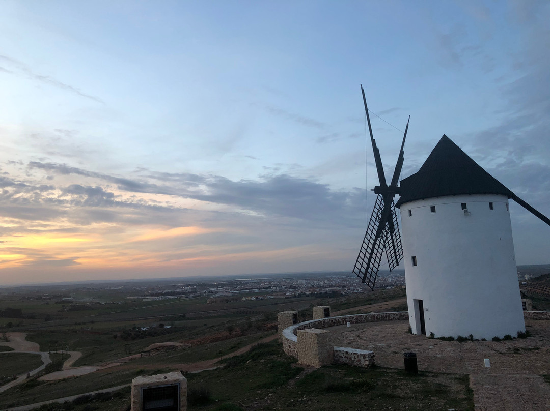 Don Quixote Tours景点图片