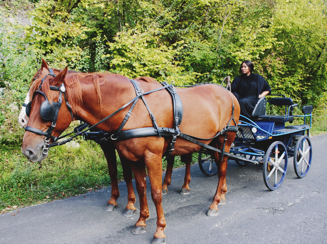 Domaine Du Chatelard主图