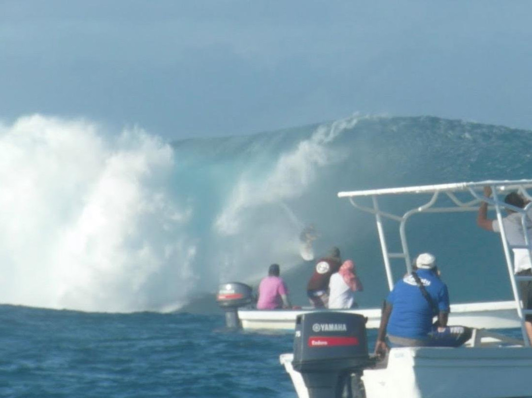 Micks Fiji Tours景点图片