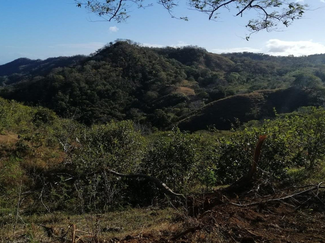 Nature walks in the Costa Rica Mountains景点图片