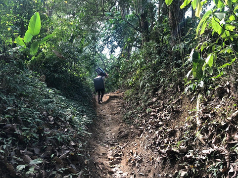 Minca Glamping主图