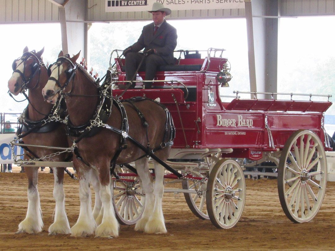 Florida Horse Park-奥卡拉必去景点