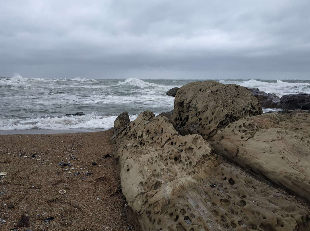 Playa Del Faro-La Paloma必去景点