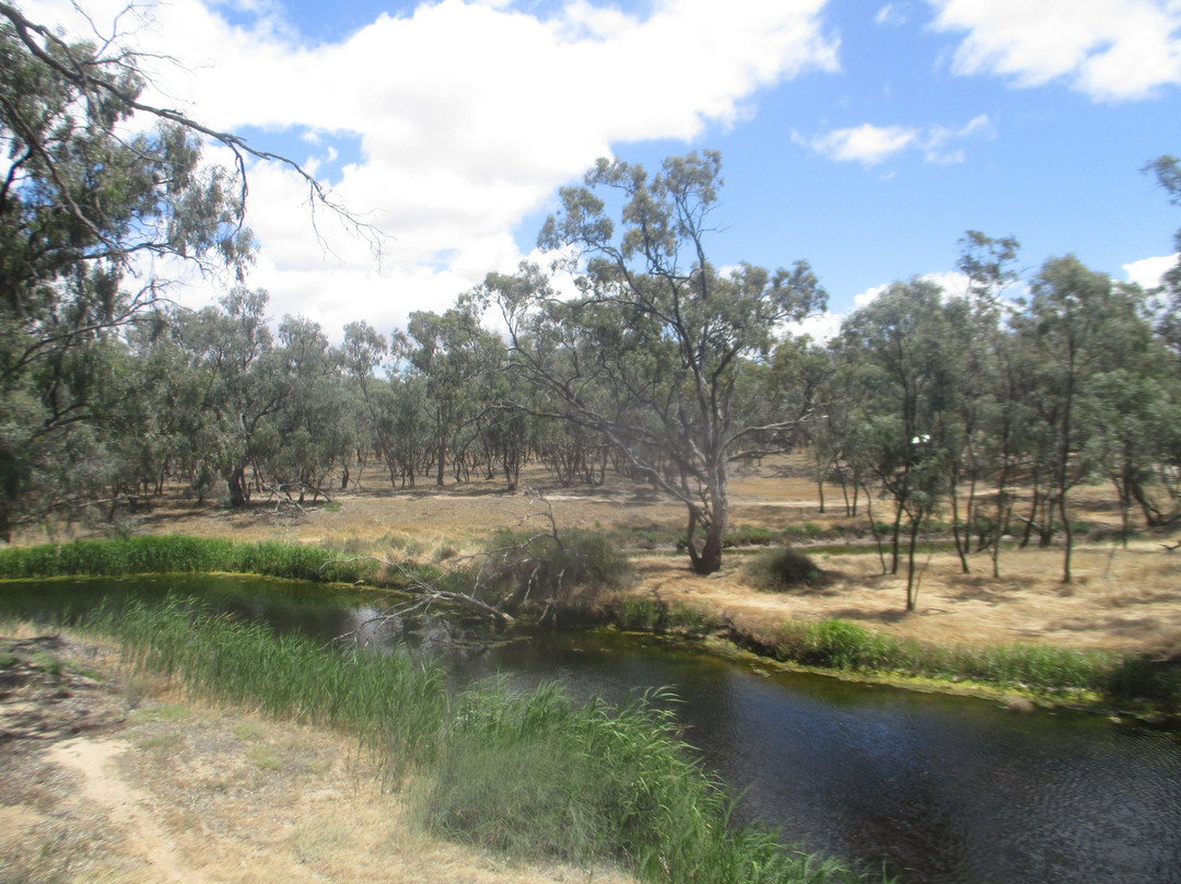 Donald Apex Park-Donald必去景点