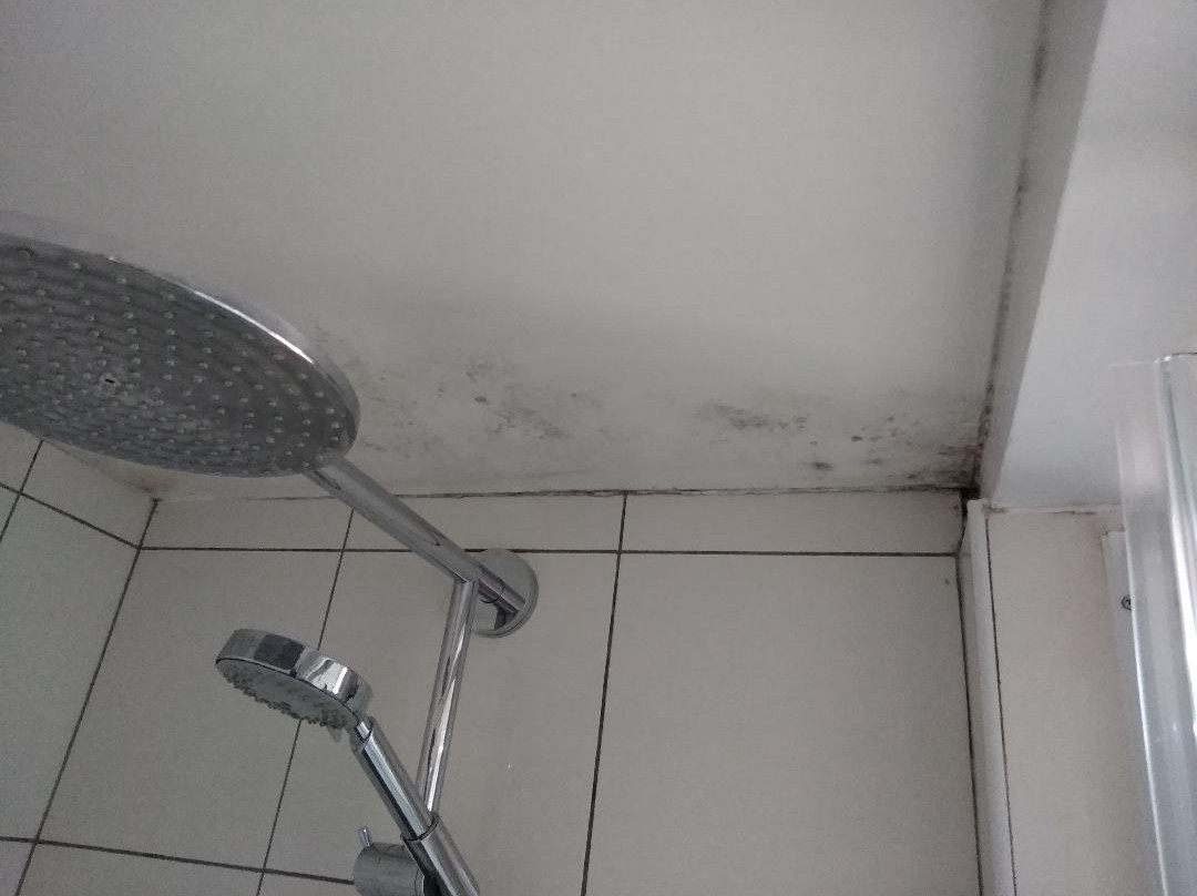 皇家托拉里卡酒店主图