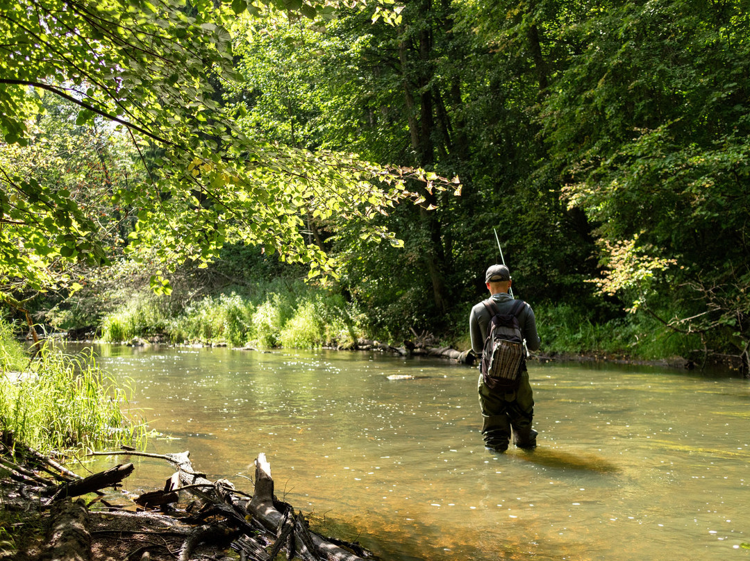 Krasnolesye旅游攻略图片