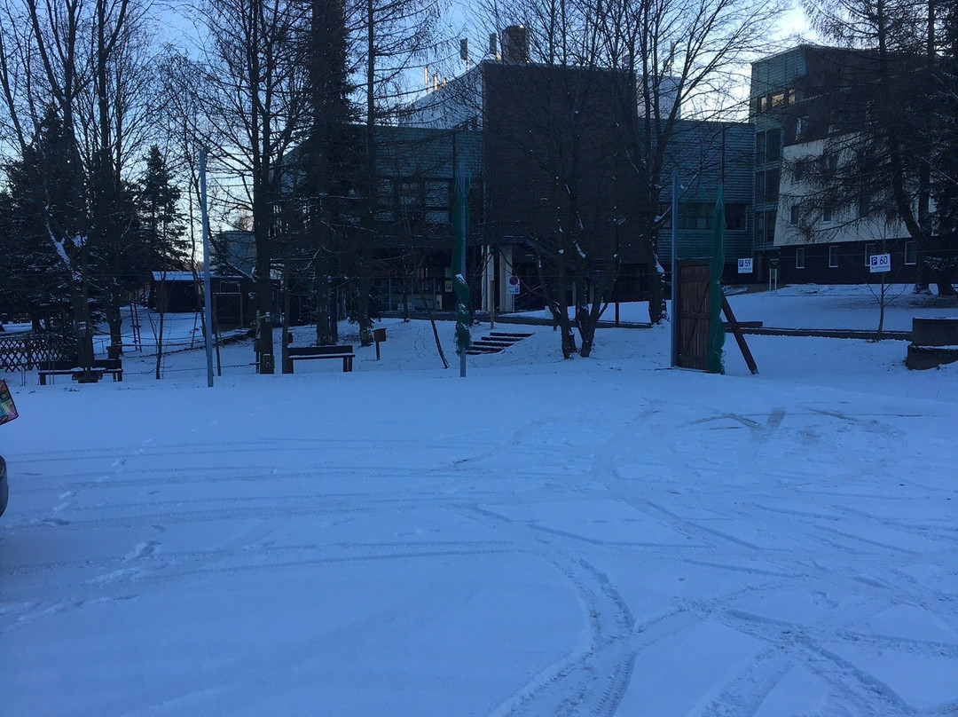 AHORN Waldhotel Altenberg主图