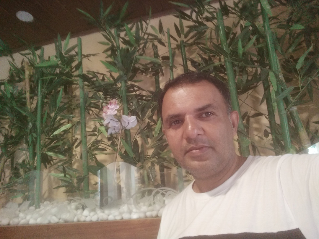 Rainforest Munnar Resort主图