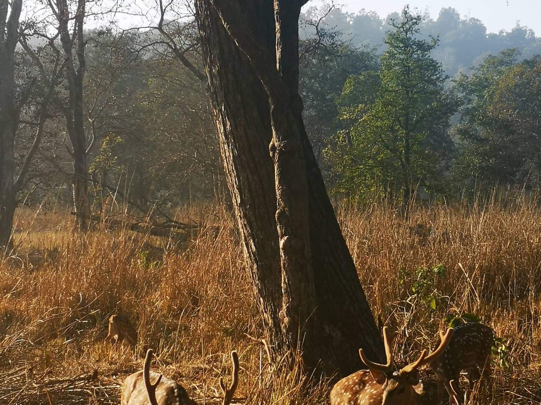 Wild Splash-里希克虚必去景点