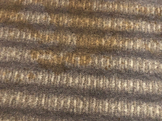 杜塞尔多夫机场美居酒店主图