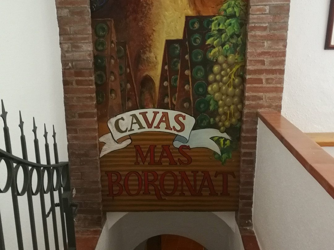 Mas Boronat主图