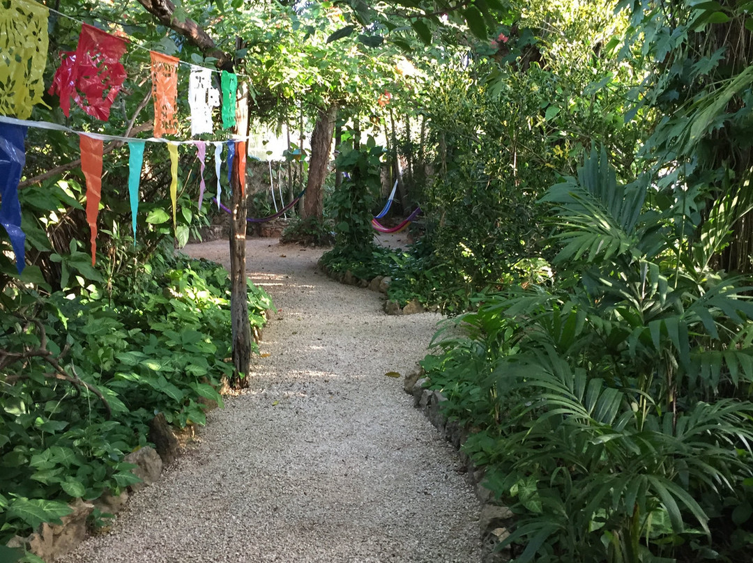 Hostel Candelaria主图