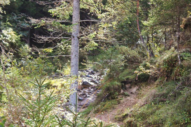 Escursione Per Famiglie: Sorgenti della Drava-圣坎迪多必去景点