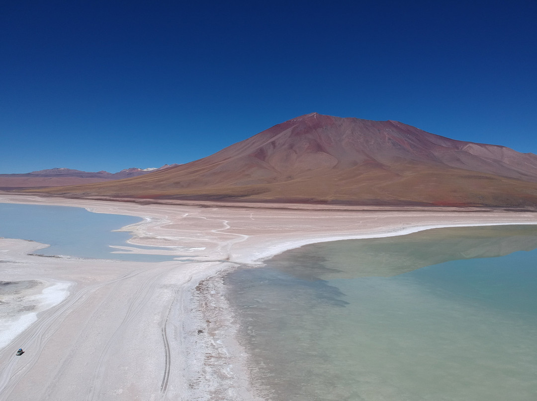 Eduardo Avaroa National Reserve of Andean Fauna景点图片