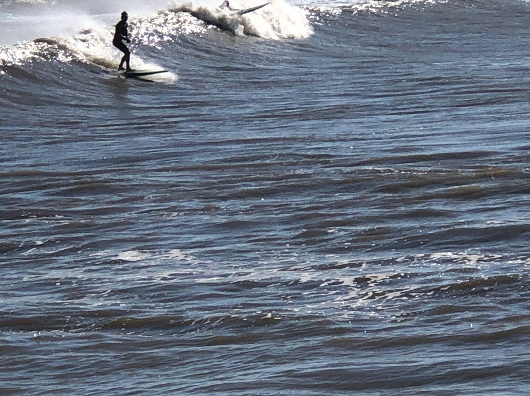 Michael J. Ellis Beach & Seawall-科珀斯克里斯蒂市必去景点