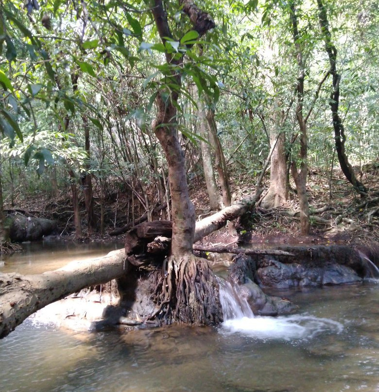 Si Khit Waterfall景点图片