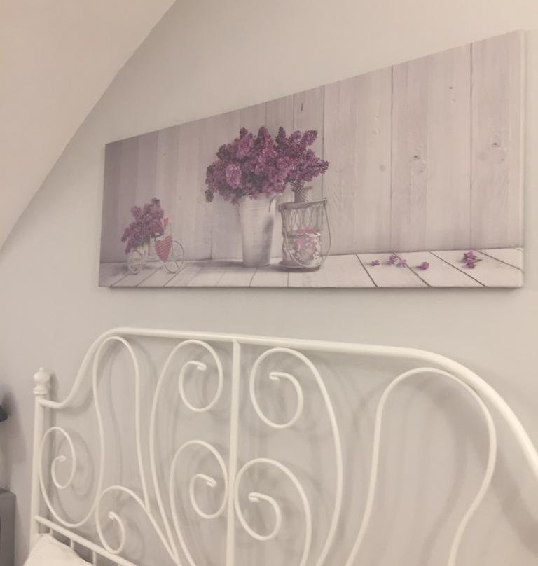 DUSSAIGA - Camera Delle Rose主图