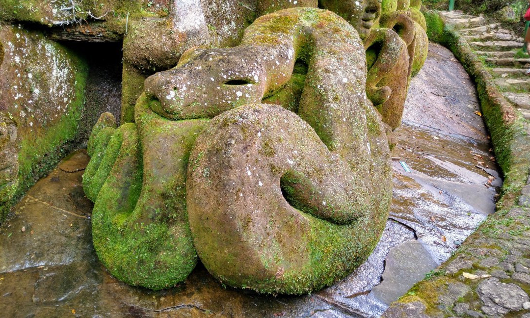 Jardim do Nêgo景点图片