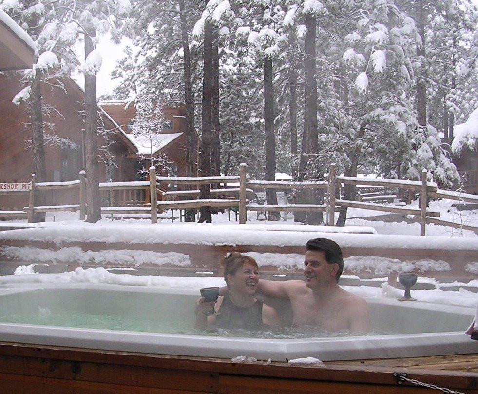 Bristlecone Lodge主图