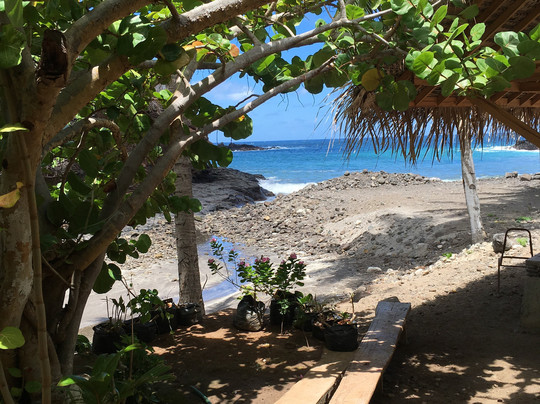 Chez Maurice et Delphine主图