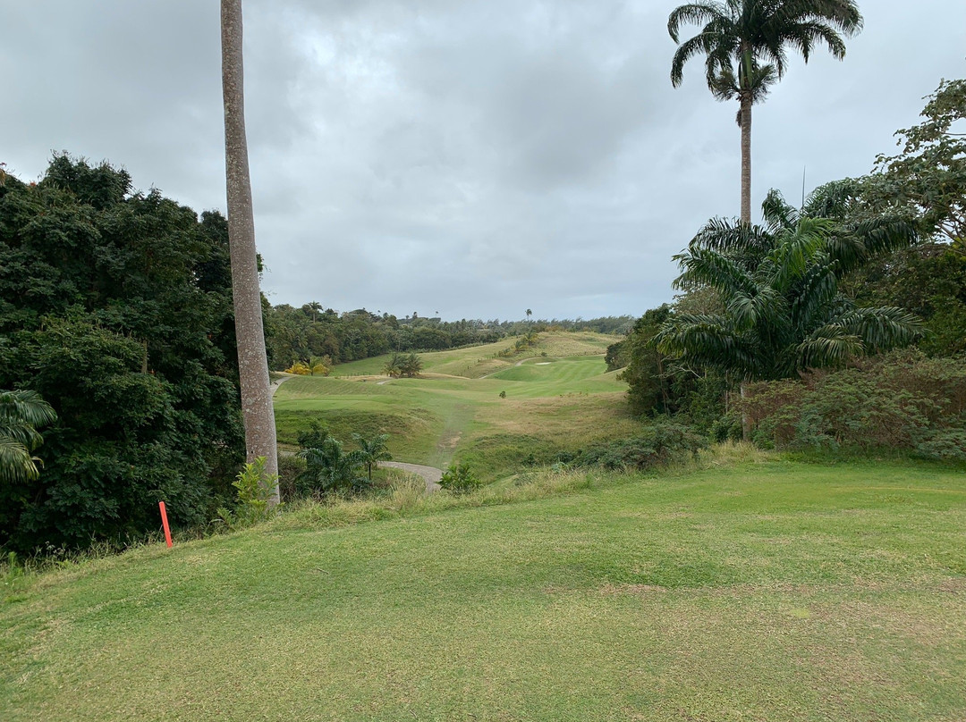 Apes Hill Golf Club景点图片