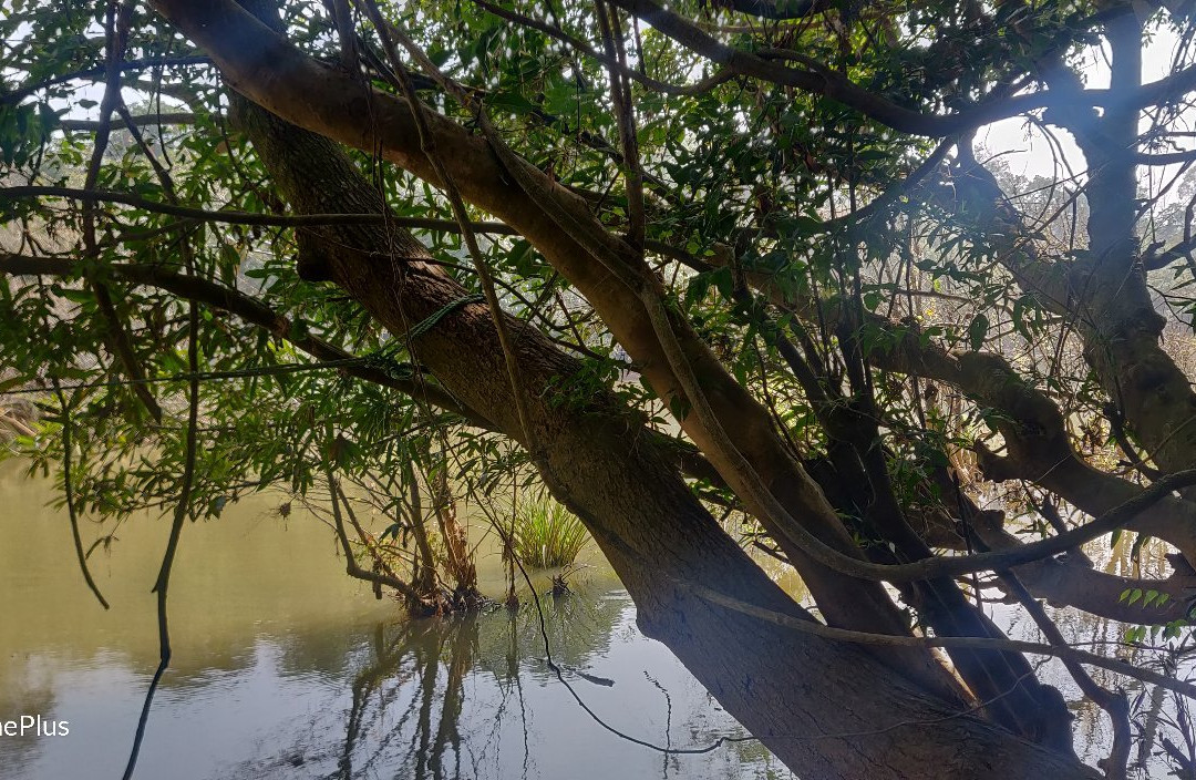 Kuruvadweep-卡尔贝塔必去景点