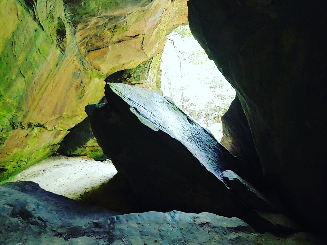 Dismals Canyon景点图片