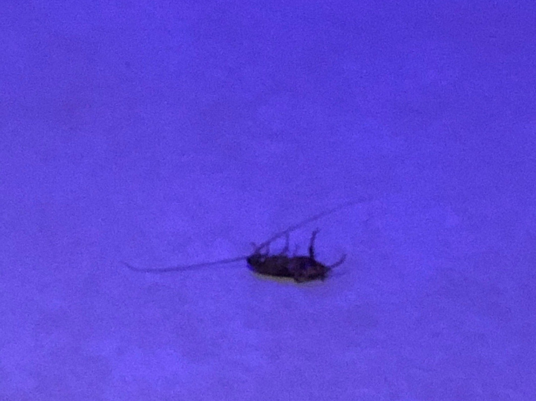 EM Beach Maldives主图