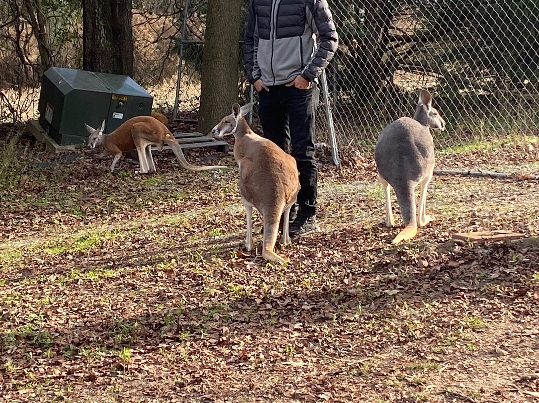Animal Ed.Ventures at Noah's Landing景点图片