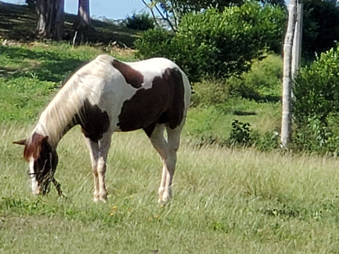 Hacienda Uxmal Plantation & Museum主图