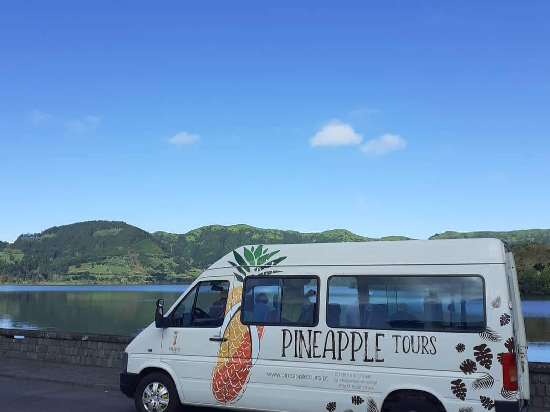 Pineapple Tours景点图片