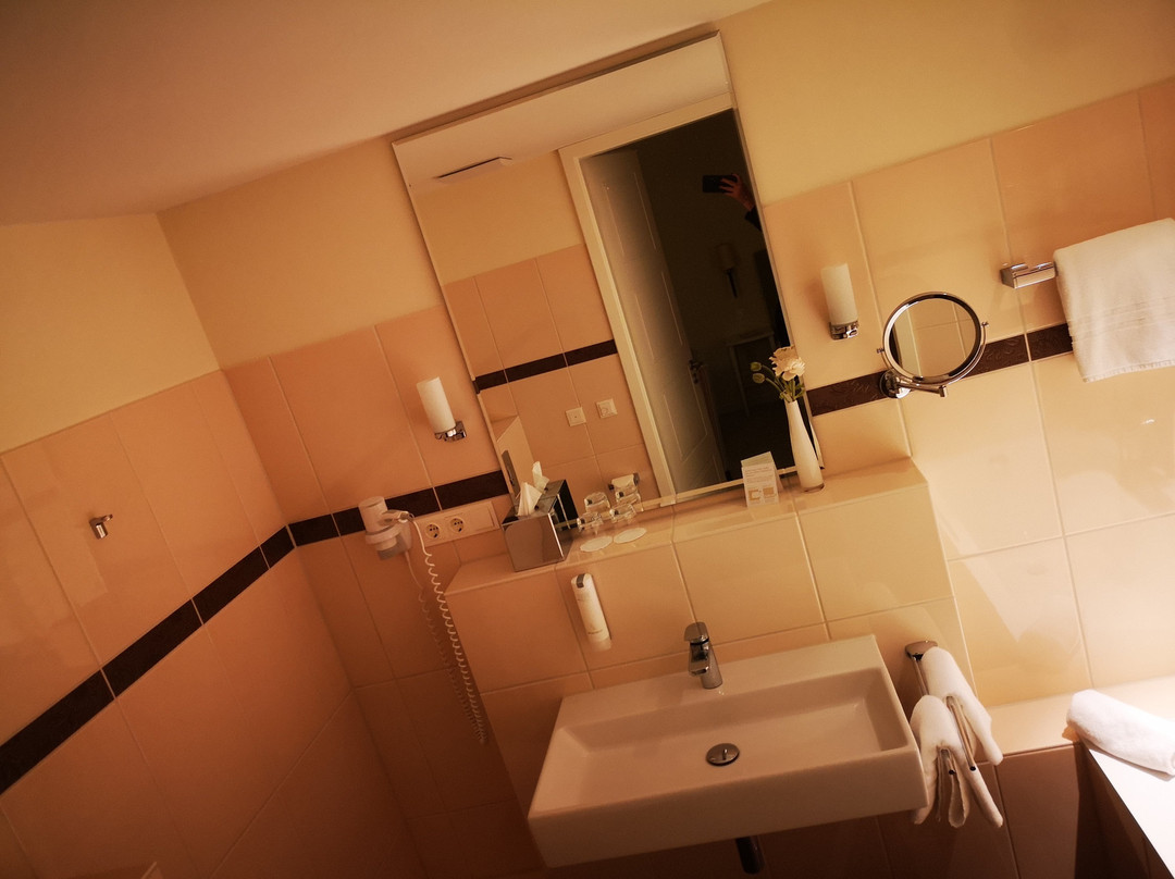 Kino-Hotel Meyer主图