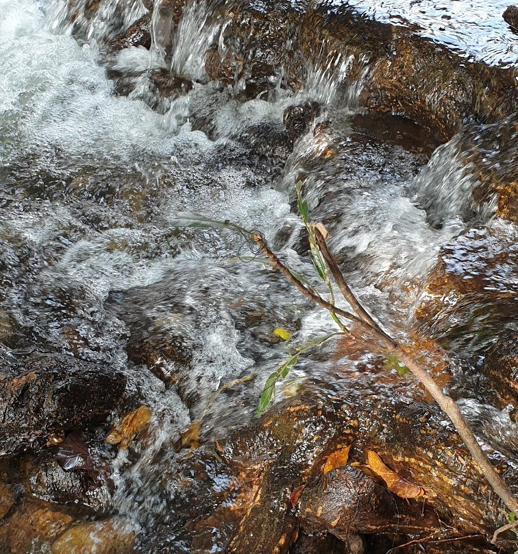 Aanachadikuth Waterfalls景点图片