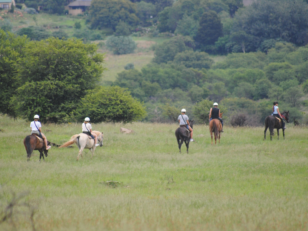 Krugersdorp Game Reserve景点图片
