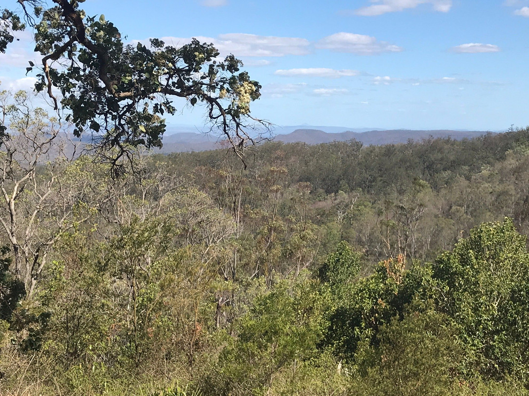 Ravensbourne National Park
