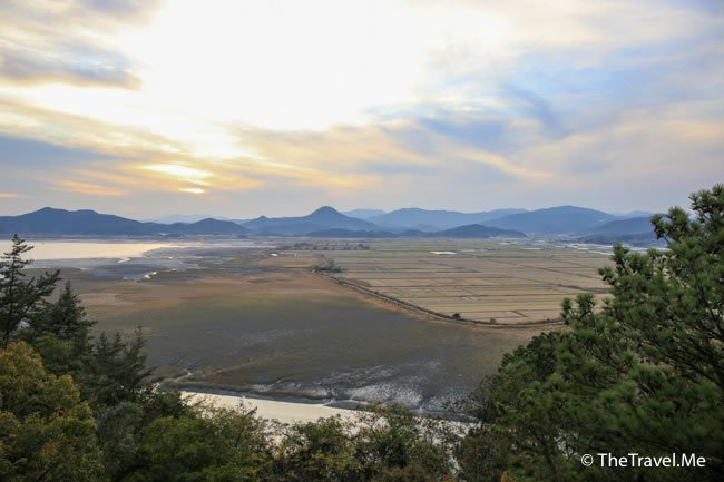 Suncheon Bay Wetland Reserve景点图片