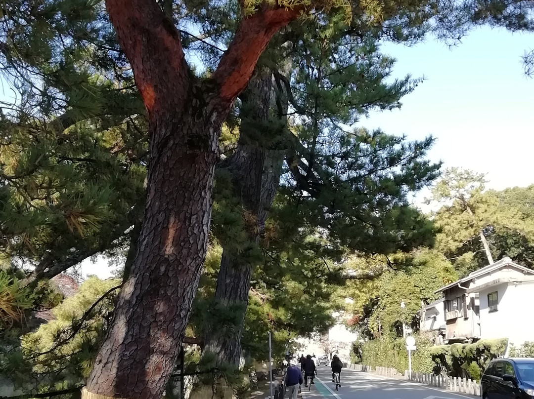 Umoreginoya-彦根市必去景点