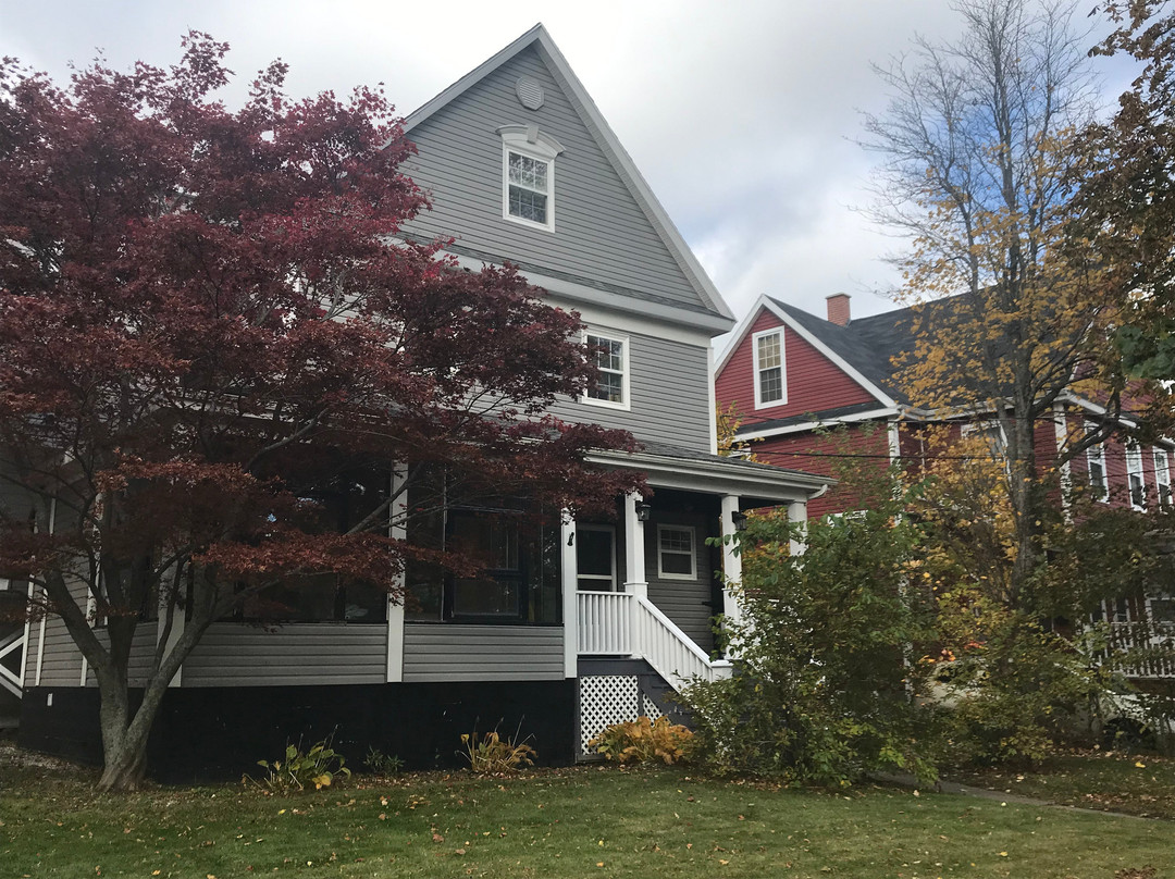 Wentworth Park-悉尼必去景点