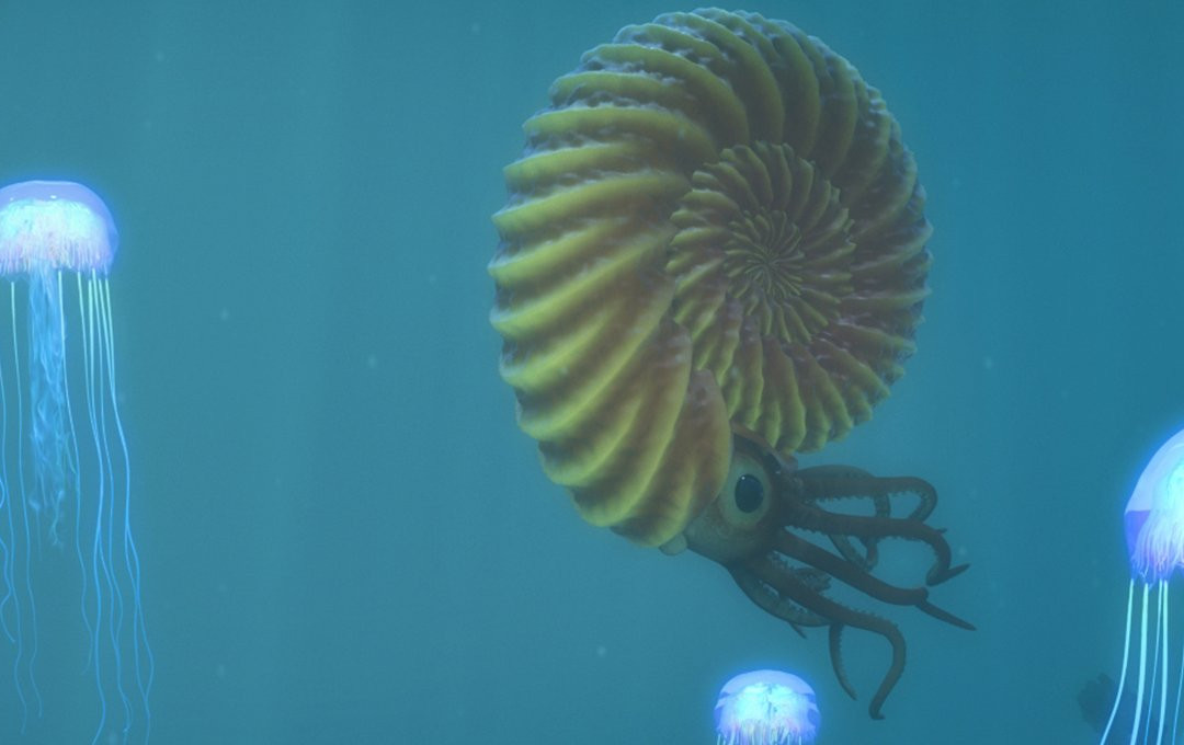 世界水族馆-皇后镇必去景点