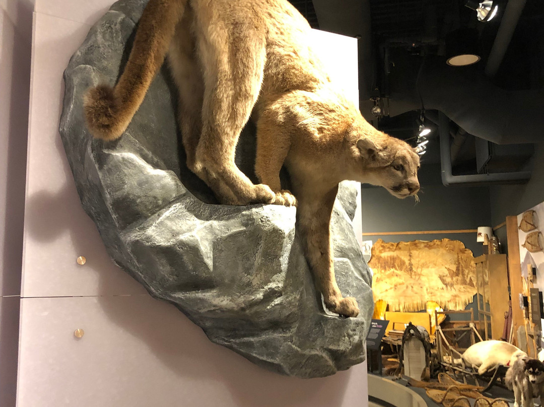 Maxine & Jesse Whitney Museum-瓦尔迪兹必去景点