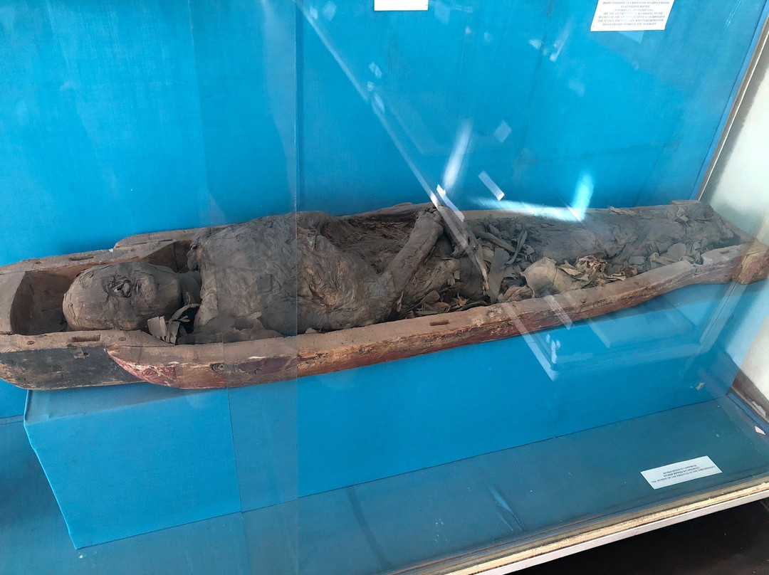 Odessa Archaeological Museum-敖德萨必去景点