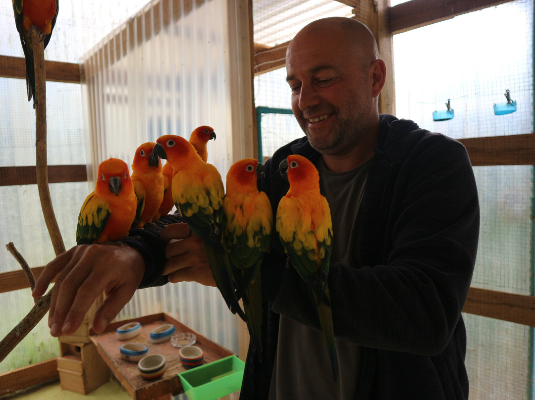 Birds and flower Cafe in Paksong-帕克松必去景点
