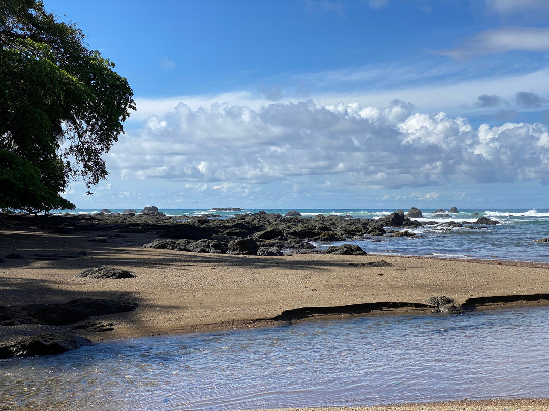 Drake Bay Wilderness Resort主图