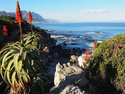 Sunroad Trading 9cc-赫曼努斯必去景点