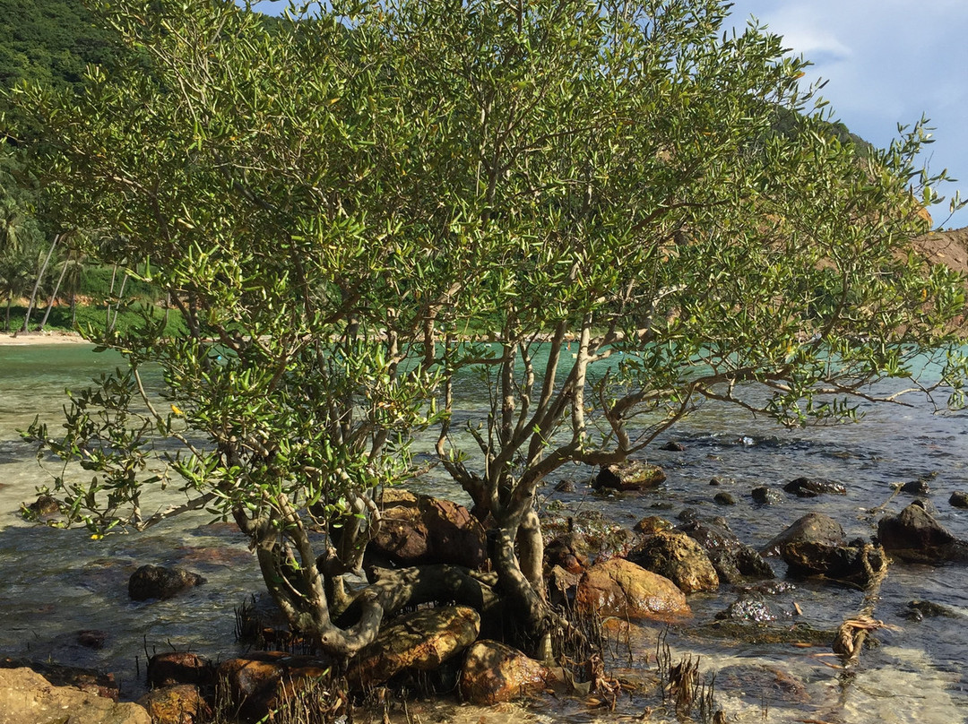 Nam Du Island-Nam Du Island必去景点